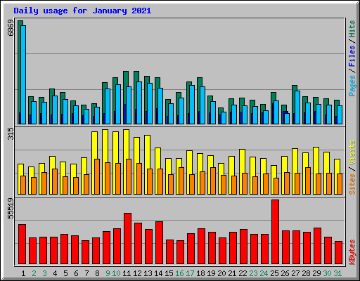 Daily usage for January 2021