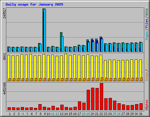 Daily usage for January 2025