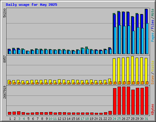 Daily usage for May 2025
