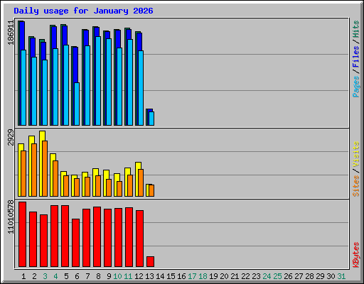 Daily usage for January 2026