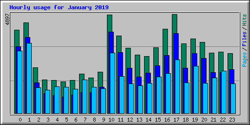 Hourly usage for January 2019
