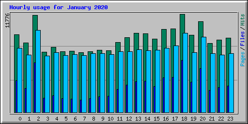 Hourly usage for January 2020