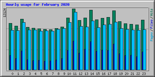 Hourly usage for February 2020
