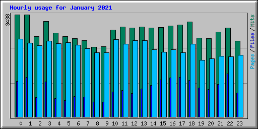 Hourly usage for January 2021