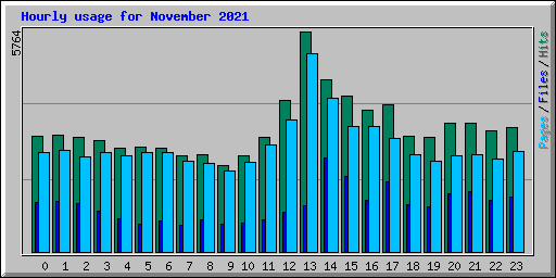 Hourly usage for November 2021