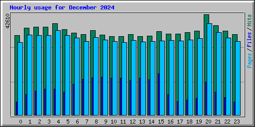 Hourly usage for December 2024