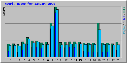 Hourly usage for January 2025