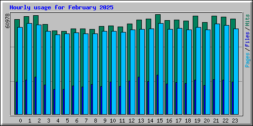 Hourly usage for February 2025