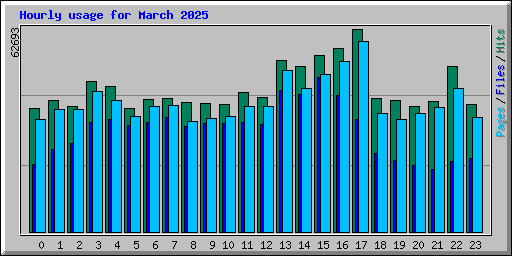 Hourly usage for March 2025