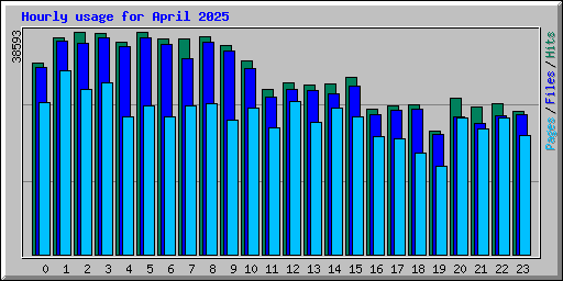 Hourly usage for April 2025
