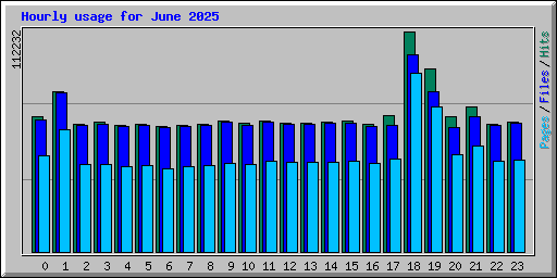 Hourly usage for June 2025