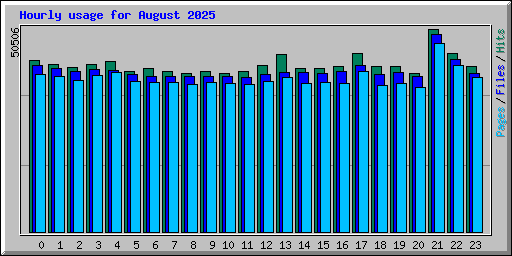 Hourly usage for August 2025
