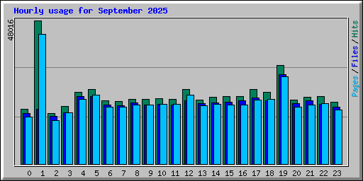 Hourly usage for September 2025
