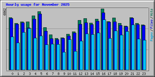 Hourly usage for November 2025