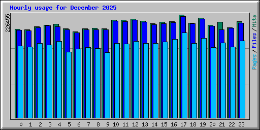 Hourly usage for December 2025