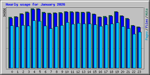 Hourly usage for January 2026